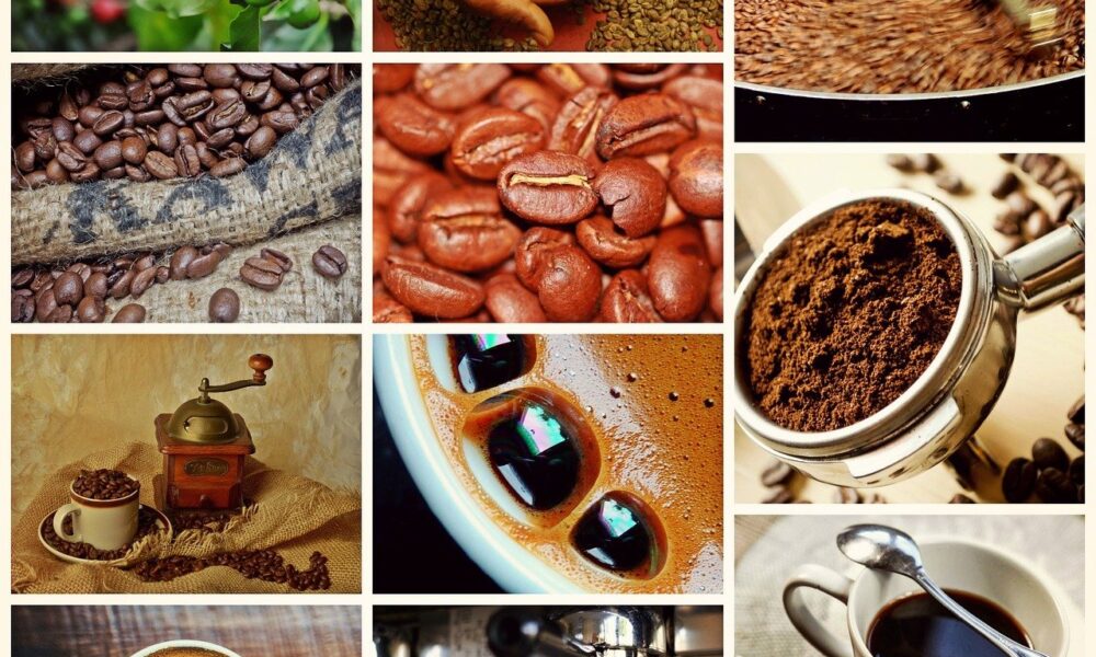 Fotografija prikazuje različite faze proizvodnje i konzumacije kave. Sadrži slike zrna kave u različitim stadijima, od berbe do prženja, te gotove šalice kave.
