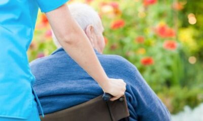 Na fotografiji je osoba u plavoj uniformi koja gura invalidska kolica u kojima sjedi starija osoba. Pozadina je ispunjena zelenilom i cvijećem. Atmosfera izgleda mirno i idilično, osvijetljena prirodnim svjetlom koje stvara meke sjene.