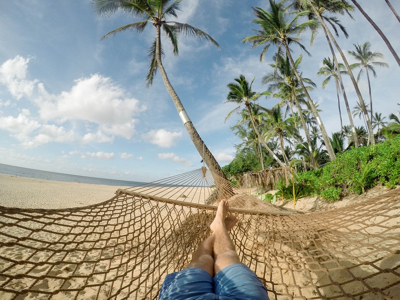 Osoba leži u visećoj mreži na pješčanoj plaži. Okružena je palmama, a u pozadini se vidi more i vedro nebo s pokojim oblakom. Osoba nosi plave kratke hlače, a noge su joj ispružene.