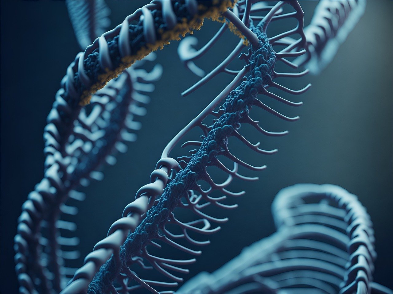 Fotografija prikazuje model dvostruke spirale DNK. Struktura je detaljno prikazana s plavim i zlatnim tonovima koji naglašavaju oblik i dubinu spirale. Ova slika je zanimljiva jer ilustrira složenost molekularne strukture koja je temelj genetskih informacija svih živih bića.