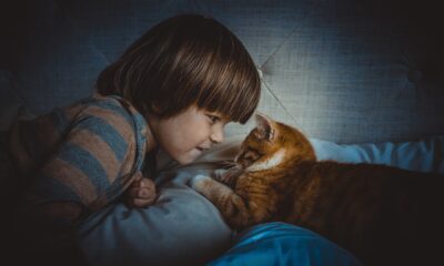 Na fotografiji je osoba s zamagljenim licem koja leži na krevetu i gleda u mačku koja se sklupčala pored nje. Mačka ima crvenkasto-smeđu dlaku s uzorkom pruga. Osoba nosi prugastu majicu i pokriva se plavim pokrivačem. Scena je osvijetljena mekim svjetlom koje stvara intimnu i mirnu atmosferu.