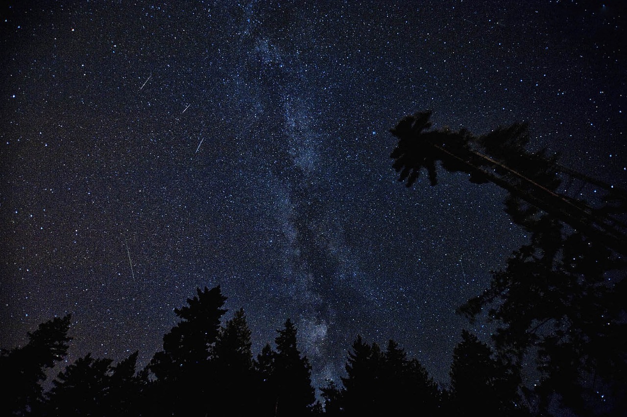 Fotografija prikazuje noćno nebo ispunjeno tisućama zvijezda, među kojima se jasno vidi Mliječna staza. Na donjem dijelu slike naziru se tamne siluete stabala koje stvaraju prekrasan kontrast s osvijetljenim nebom.