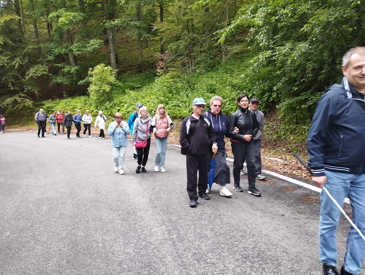 Skupina ljudi pješači po šumskoj stazi. Okruženi su zelenilom i drvećem, a u grupi su i osobe koje koriste štapove za hodanje. Staza se nalazi na Sljemenu.