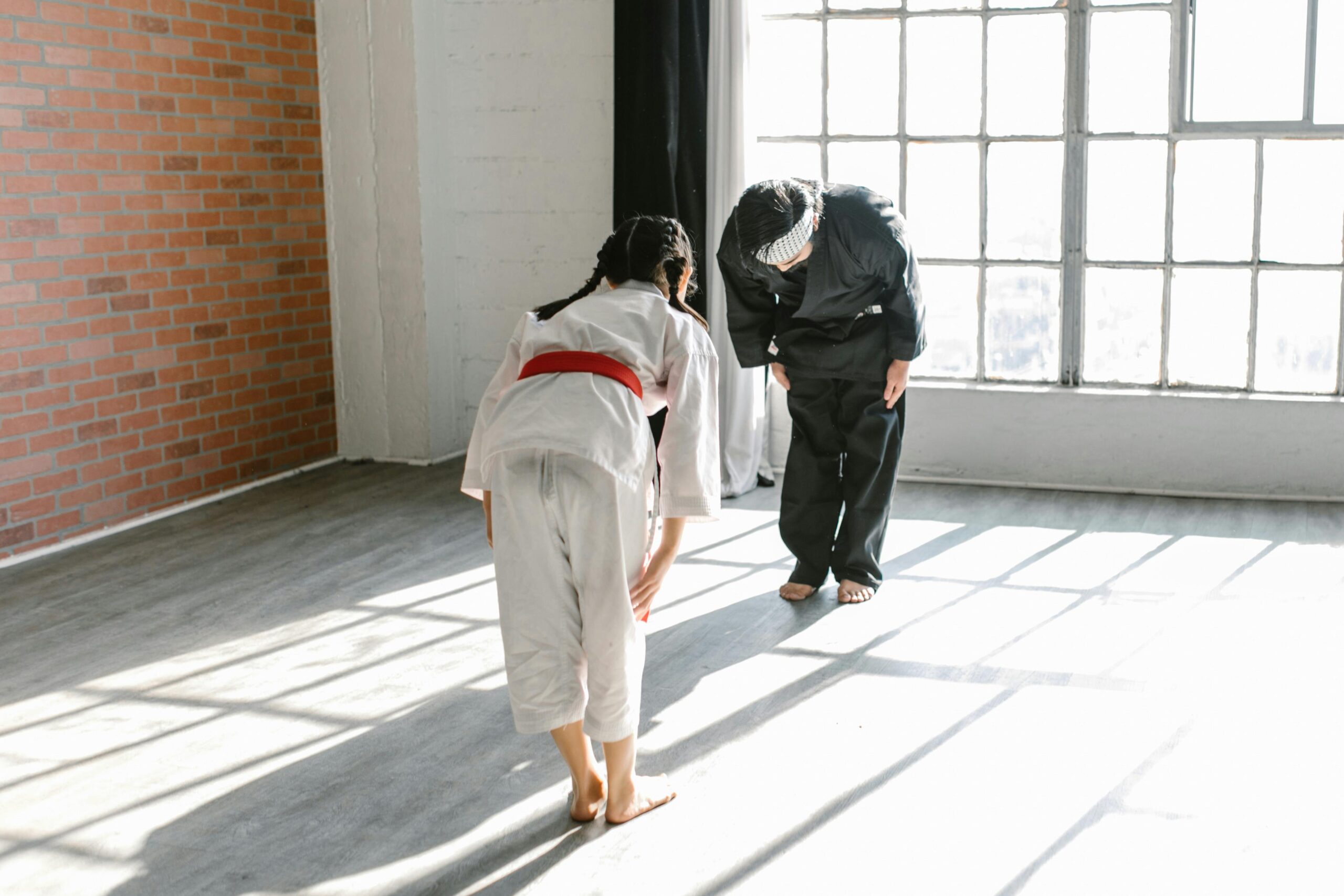 Fotografija prikazuje taekwondoisticu i taekwondoista kako se jedno drugom klanjaju prije početka borbe. Borci se nalaze u dvorani. Obje osobe su bosih nogu. U dvoranu kroz veliko staklo ulaze zrake sunca.