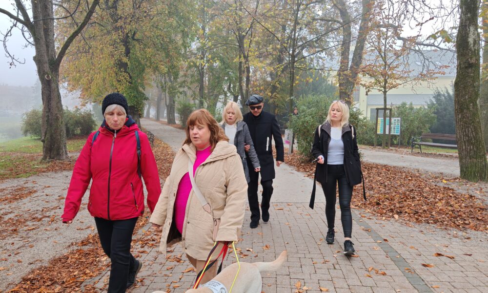 Na fotografiji je prikazana grupa ljudi koji šeću stazom u parku ili sličnom zelenom okruženju. Osobe su različito odjevene, što ukazuje na umjerenu klimu, a jedna osoba vodi psa na povodcu. Lica osoba su zamagljena radi zaštite privatnosti. Ova fotografija može biti zanimljiva jer prikazuje svakodnevnu aktivnost u prirodnom okruženju i interakciju između ljudi i kućnih ljubimaca.