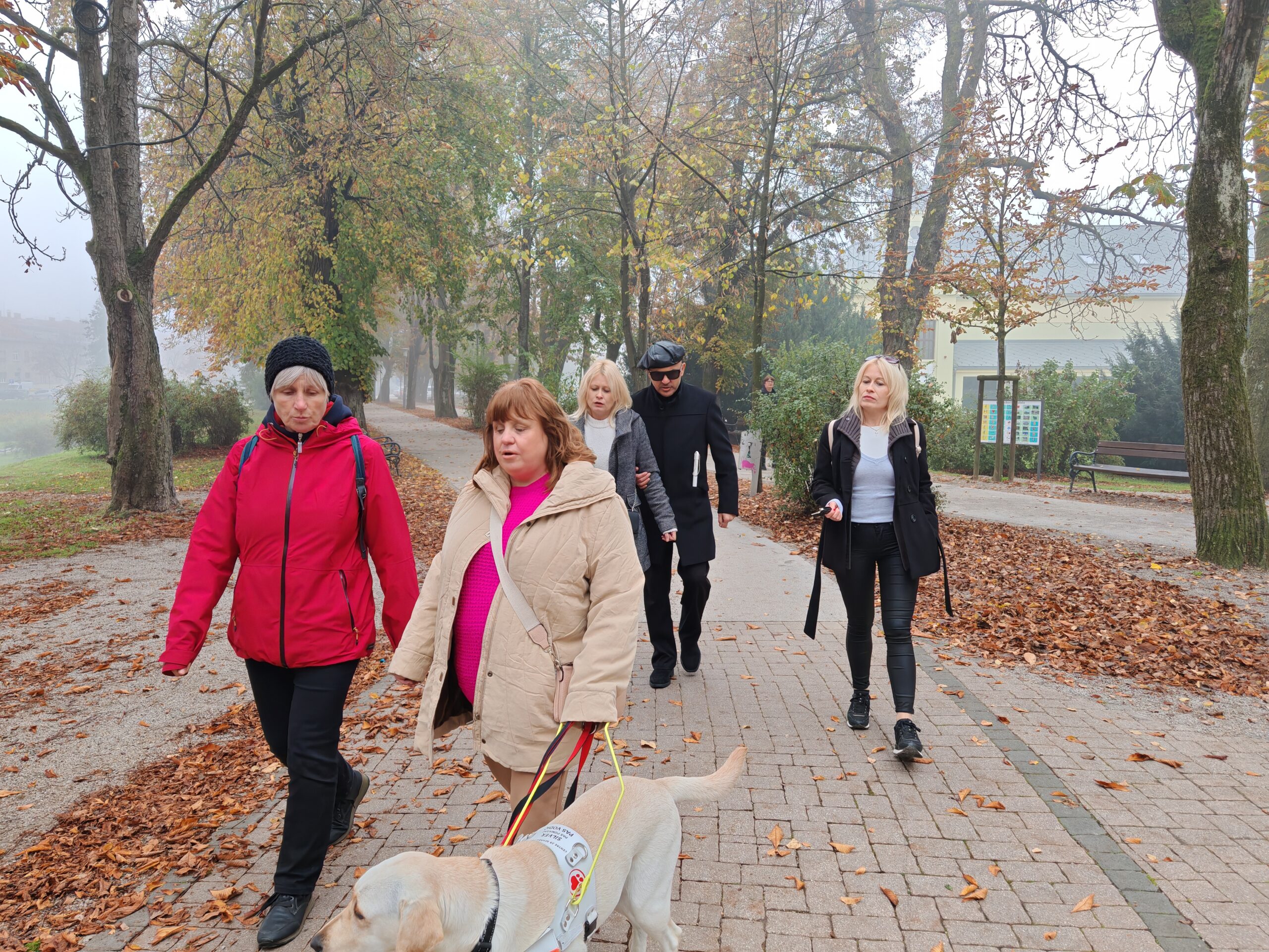 Na fotografiji je prikazana grupa ljudi koji šeću stazom u parku ili sličnom zelenom okruženju. Osobe su različito odjevene, što ukazuje na umjerenu klimu, a jedna osoba vodi psa na povodcu. Lica osoba su zamagljena radi zaštite privatnosti. Ova fotografija može biti zanimljiva jer prikazuje svakodnevnu aktivnost u prirodnom okruženju i interakciju između ljudi i kućnih ljubimaca.