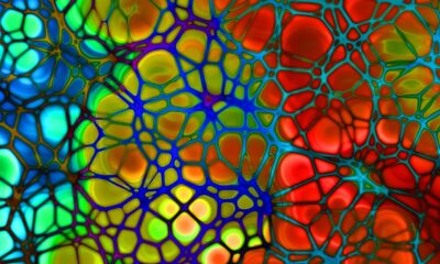 Ova slika prikazuje apstraktni uzorak s mrežastom strukturom u različitim bojama. Boje uključuju plavu, zelenu, žutu, narančastu i crvenu, koje su raspoređene u nepravilnim oblicima unutar mreže. Mreža je plave boje i proteže se preko cijele slike, stvarajući dojam organskih stanica ili tkiva. Slika je zanimljiva zbog svoje živopisne palete boja i složenog uzorka koji podsjeća na mikroskopski prikaz bioloških struktura.