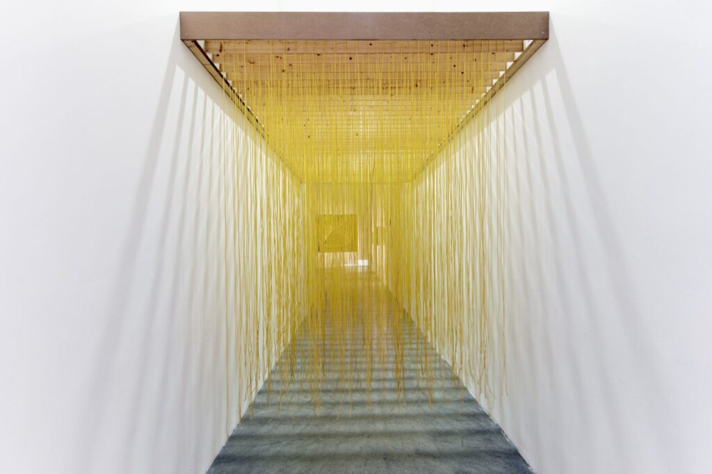 Prolaz omeđen bijelim zidovima ispunjen gustim nizovima visećih žutih niti koje stvaraju optički efekt i pozivaju posjetitelja da kroz njih prođe.