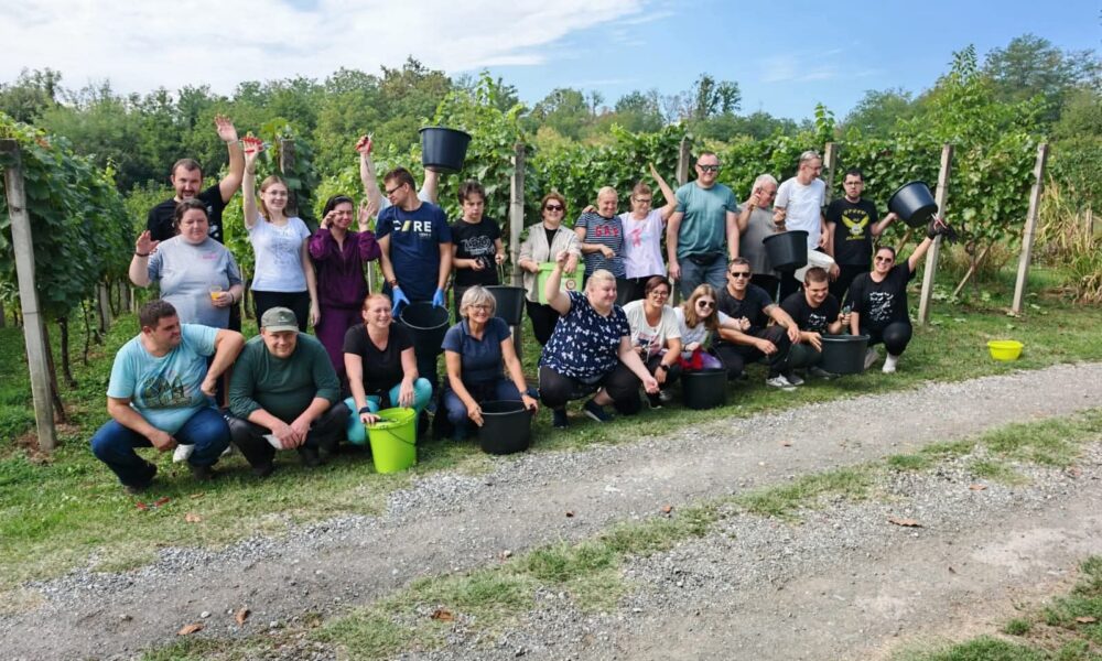 Na fotografiji se nalazi grupa ljudi okupljena u vinogradu. Neki stoje, a neki sjede na travi među redovima vinove loze. Drže crne i zelene kante, koje se najvjerojatnije koriste za berbu grožđa. Atmosfera je opuštena i vesela, a čini se da sudjeluju u zajedničkoj aktivnosti poput berbe grožđa ili radionice vezane uz proizvodnju vina. Okruženje je prirodno i zeleno, s vedrim nebom u pozadini, što dodatno naglašava ugodan dan proveden na otvorenom. Ova scena može predstavljati timsku aktivnost, lokalnu proslavu berbe ili jednostavno druženje u prirodi.