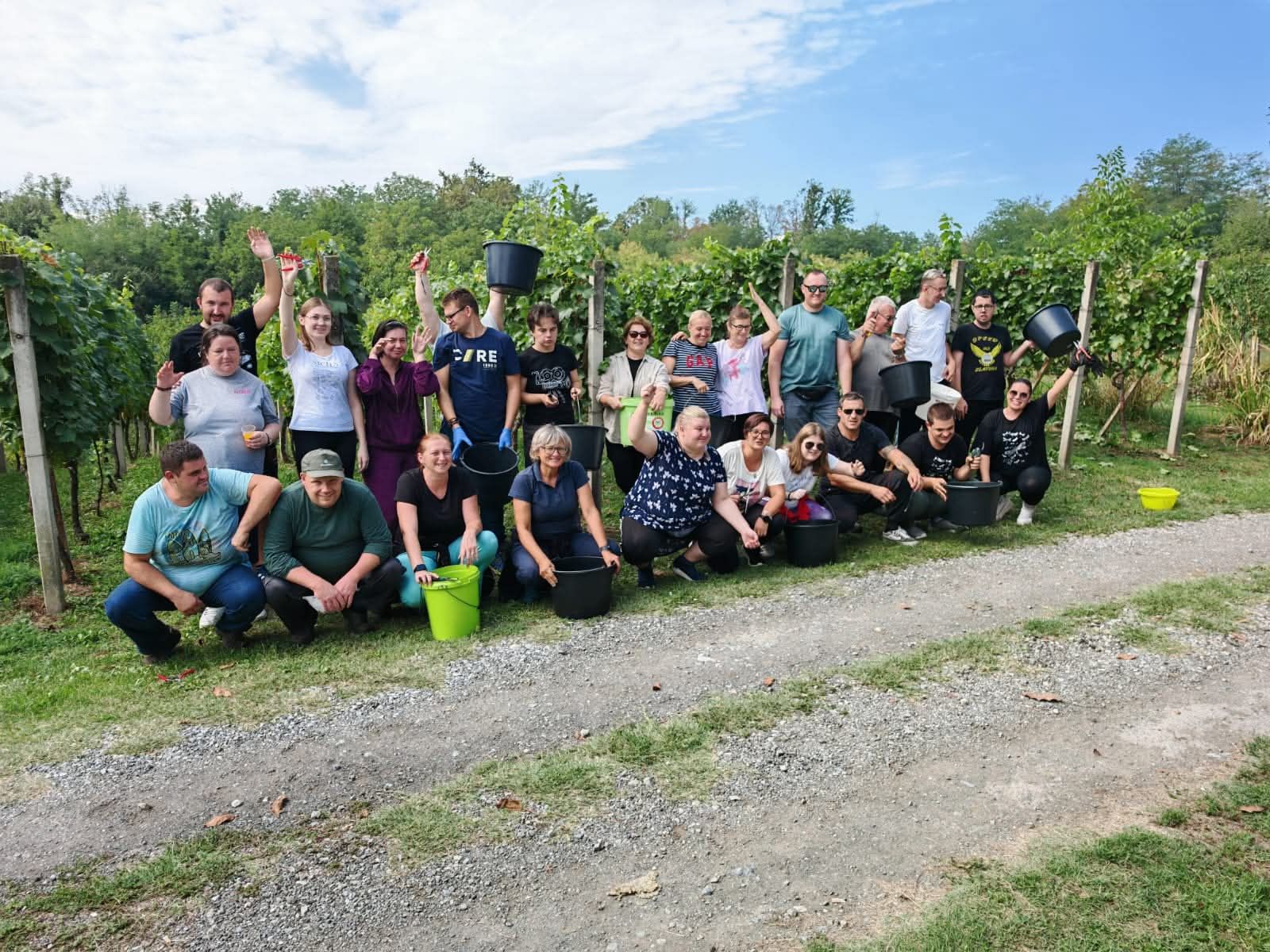Na fotografiji se nalazi grupa ljudi okupljena u vinogradu. Neki stoje, a neki sjede na travi među redovima vinove loze. Drže crne i zelene kante, koje se najvjerojatnije koriste za berbu grožđa. Atmosfera je opuštena i vesela, a čini se da sudjeluju u zajedničkoj aktivnosti poput berbe grožđa ili radionice vezane uz proizvodnju vina. Okruženje je prirodno i zeleno, s vedrim nebom u pozadini, što dodatno naglašava ugodan dan proveden na otvorenom. Ova scena može predstavljati timsku aktivnost, lokalnu proslavu berbe ili jednostavno druženje u prirodi.