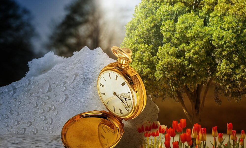 Na fotografiji se nalazi nadrealna kompozicija koja spaja simbole različitih godišnjih doba i prolaznosti vremena. U prvom planu dominira zlatni džepni sat s rimskim brojevima, otvoren tako da se vidi brojčanik i unutarnji poklopac — simbolizira vrijeme. Lijevo od sata nalazi se površina nalik na snijeg ili led s kapljicama vode, što upućuje na zimu. Desno je bujno zeleno drvo i cvjetni tepih od crvenih i žutih tulipana, koji evociraju proljeće ili ljeto. U pozadini se naziru zamućena stabla, stvarajući dojam prijelaza između godišnjih doba. Fotografija umjetnički prikazuje cikličnost prirode i prolaznost vremena, koristeći kontrastne elemente da bi stvorila emocionalno bogatu i vizualno intrigantnu scenu.
