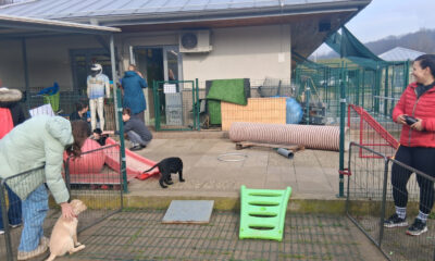 Ljudi u dvorištu pomažu štenadi u socijalizaciji i igri uz sprave.