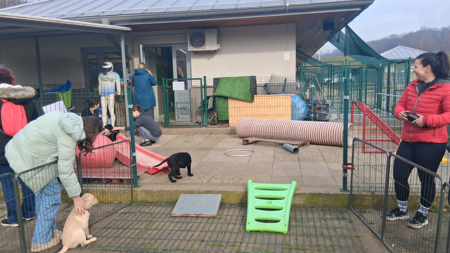 Ljudi u dvorištu pomažu štenadi u socijalizaciji i igri uz sprave.