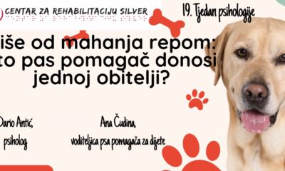 Na plakatu se nalazi velika fotografija zlatnog labradora, psa pomagača, koji zauzima središnji dio vizuala. Oko njega su grafički elementi poput otisaka šapa i kostiju, što plakatu daje prijateljski i topao dojam.