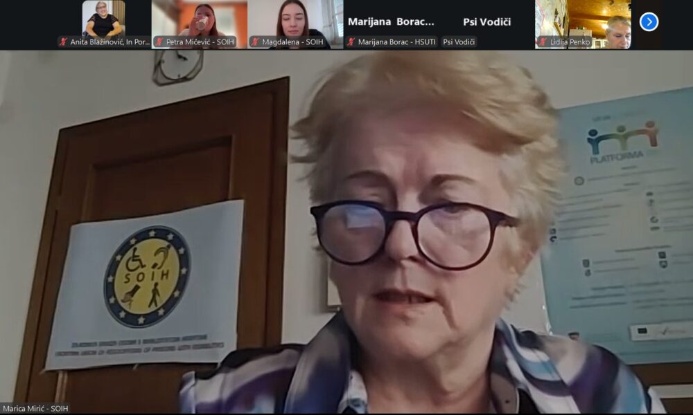 Na fotografiji se vidi virtualni sastanak s više sudionika, što je vidljivo iz trake s malim video-prozorima na vrhu ekrana. U središtu kadra nalazi se žena s naočalama i kariranom košuljom, koja izgleda kao da aktivno sudjeluje u razgovoru — sluša ili govori.