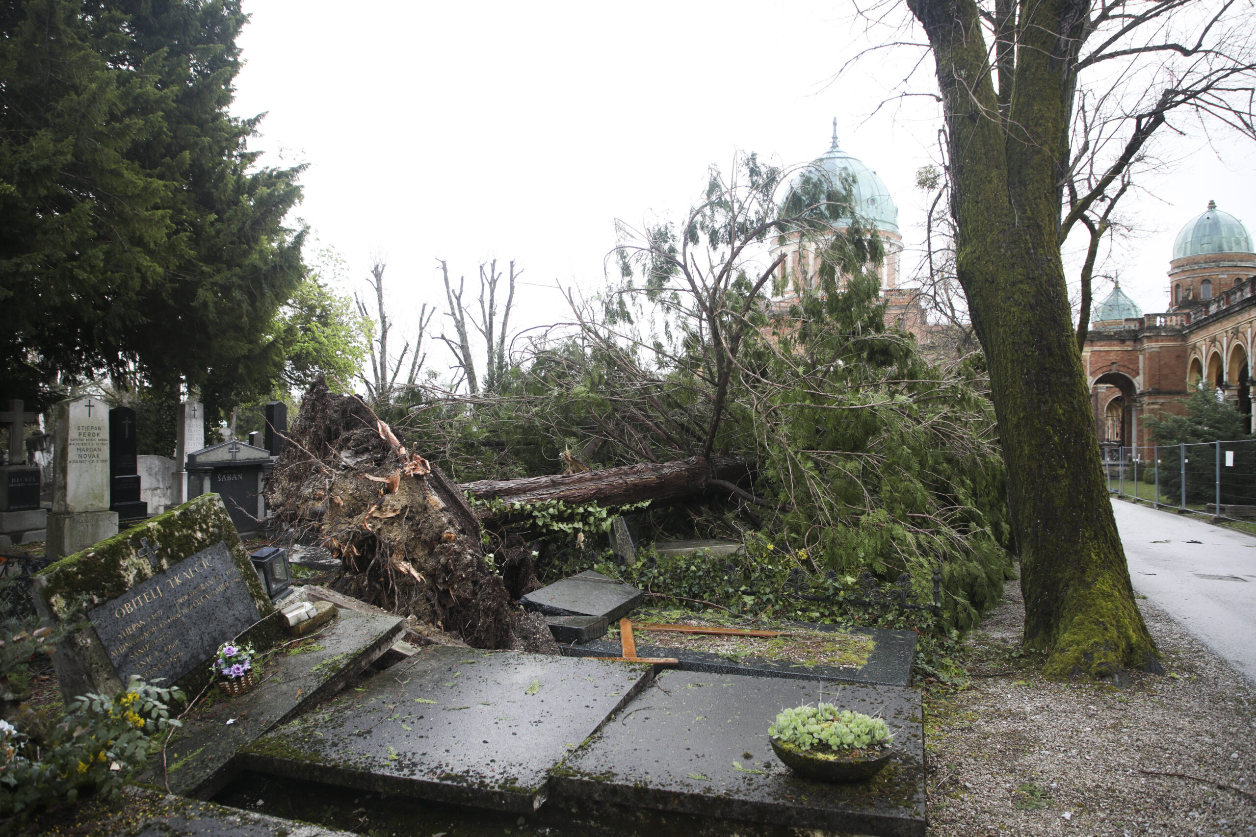 Srušeno stablo na groblju oštetilo grobove, u pozadini mirogojske Arkade.