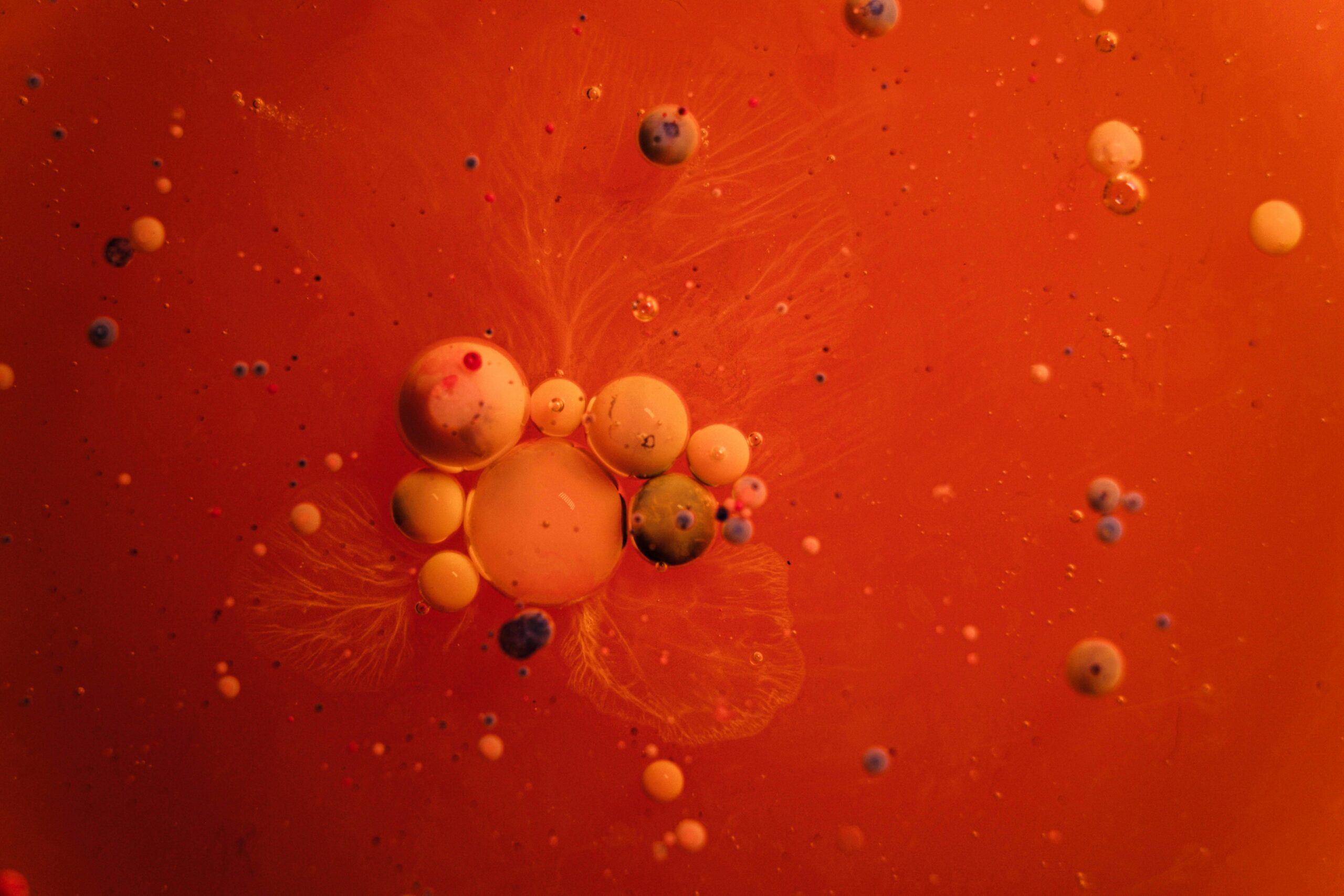 Fotografija prikazuje određene stanice.