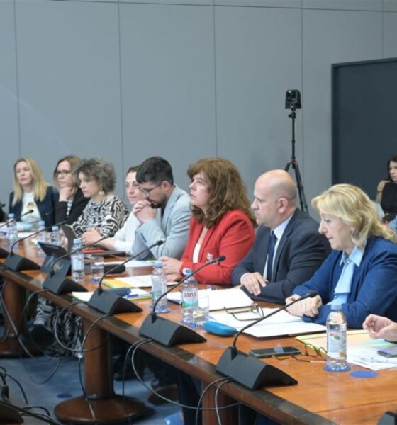 Na fotografiji je prikazan sastanak za dugim konferencijskim stolom, vjerojatno u službenom ili institucionalnom prostoru poput saborske dvorane ili prostorije za sjednice. Za stolom sjedi veći broj sudionika, među kojima su žene i muškarci, odjeveni uglavnom poslovno, što upućuje na formalni karakter događaja. Sudionici imaju ispred sebe mikrofone, dokumente, bilježnice i boce vode, a neki zapisuju bilješke ili pažljivo slušaju govornike. Atmosfera djeluje ozbiljno i koncentrirano, kao tijekom rasprave ili tematske sjednice. U pozadini se vidi kamera na stativu, što sugerira da se događaj snima ili dokumentira. Cjelokupni dojam fotografije upućuje na službenu raspravu ili sastanak stručnjaka i predstavnika institucija.