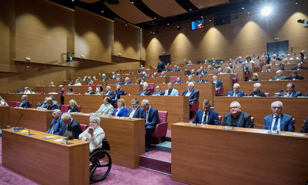 Vijećnici sudjeluju na sjednici u velikoj skupštinskoj dvorani.