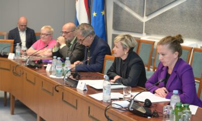 Na fotografiji je prikazan sastanak u konferencijskoj dvorani Hrvatskoga sabora. Za dugim drvenim stolom sjedi nekoliko sudionika rasprave, među kojima su zastupnici i predstavnici institucija. U prvom planu vidi se žena kratke plave kose koja govori u mikrofon, dok ostali sudionici pažljivo slušaju. Na stolu se nalaze dokumenti, mikrofoni, slušalice i boce vode. U pozadini su istaknute zastave Hrvatske i Europske unije, što upućuje na službeni i međunarodni karakter sastanka. Atmosfera djeluje formalno i radno, a sudionici su usredotočeni na raspravu o temama vezanim uz prava i uključivanje osoba s invaliditetom u politički život.