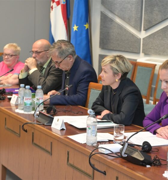 Na fotografiji je prikazan sastanak u konferencijskoj dvorani Hrvatskoga sabora. Za dugim drvenim stolom sjedi nekoliko sudionika rasprave, među kojima su zastupnici i predstavnici institucija. U prvom planu vidi se žena kratke plave kose koja govori u mikrofon, dok ostali sudionici pažljivo slušaju. Na stolu se nalaze dokumenti, mikrofoni, slušalice i boce vode. U pozadini su istaknute zastave Hrvatske i Europske unije, što upućuje na službeni i međunarodni karakter sastanka. Atmosfera djeluje formalno i radno, a sudionici su usredotočeni na raspravu o temama vezanim uz prava i uključivanje osoba s invaliditetom u politički život.