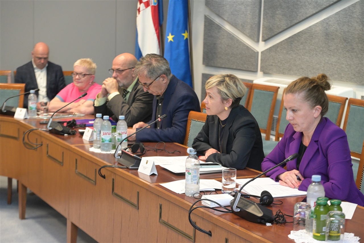 Na fotografiji je prikazan sastanak u konferencijskoj dvorani Hrvatskoga sabora. Za dugim drvenim stolom sjedi nekoliko sudionika rasprave, među kojima su zastupnici i predstavnici institucija. U prvom planu vidi se žena kratke plave kose koja govori u mikrofon, dok ostali sudionici pažljivo slušaju. Na stolu se nalaze dokumenti, mikrofoni, slušalice i boce vode. U pozadini su istaknute zastave Hrvatske i Europske unije, što upućuje na službeni i međunarodni karakter sastanka. Atmosfera djeluje formalno i radno, a sudionici su usredotočeni na raspravu o temama vezanim uz prava i uključivanje osoba s invaliditetom u politički život.