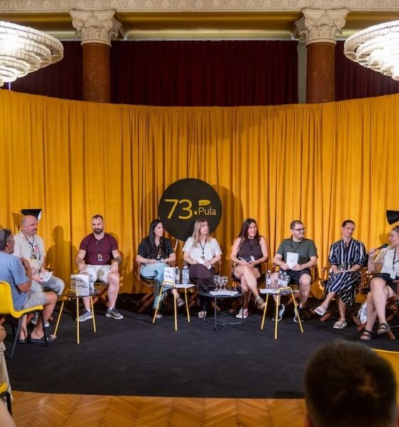 Na fotografiji je prikazano predstavljanje Smjernica svima svugdje održano u sklopu programa Pula PRO na 73. Pula Film Festivalu. Na pozornici ispred prepoznatljive žute festivalske scenografije sjedi sedmero sudionika panel-razgovora, dok jedna govornica drži mikrofon i obraća se publici. Uz sudionike su postavljeni stolovi s primjercima Smjernica i osvježenjem, a iza njih istaknut je znak 73. Pula Film Festivala. S lijeve strane nalazi se banner organizacije Kultura svima, dok je s desne strane ekran s prezentacijom. U prvom planu vidi se publika koja prati predstavljanje u Crvenom salonu Doma hrvatskih branitelja.